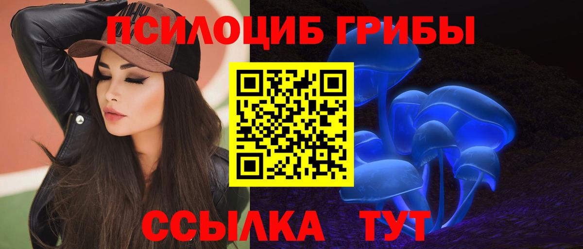 Псилоцибиновые грибы мухоморы Дальнегорск