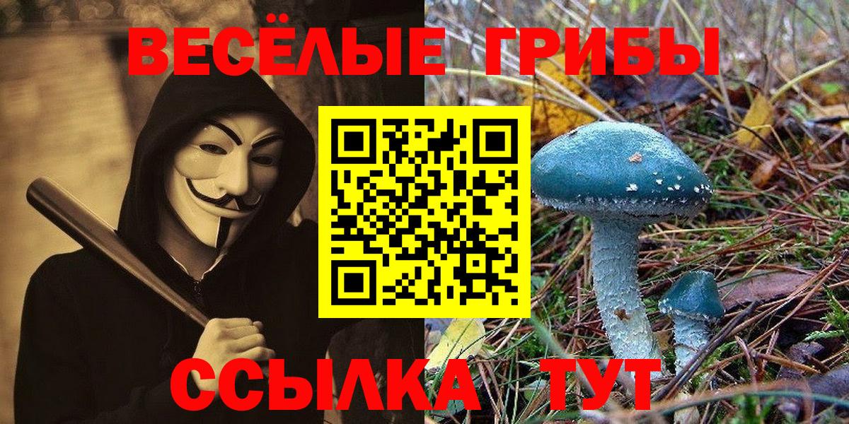 где продают наркотики  Псилоцибиновые грибы GOLDEN TEACHER  Дальнегорск  Вход с VPN  Галлюциногенные грибы Cubensis 